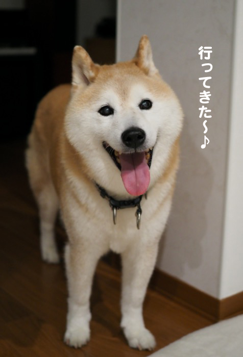 20日夕ブログ４