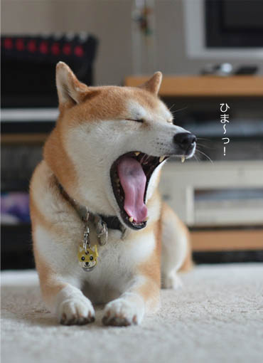 7日ブログ5.jpg