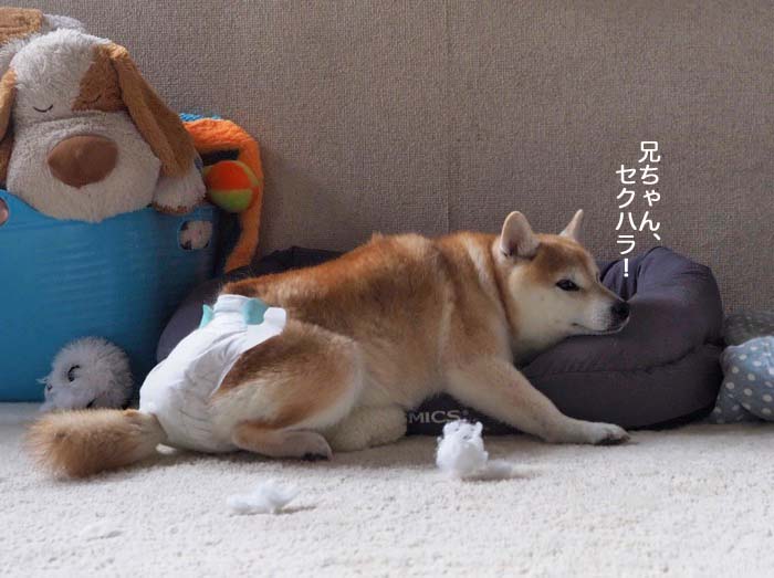 4日夜ブログ１０