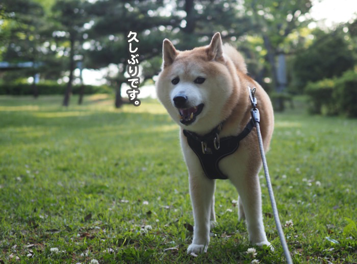 10日ブログ４