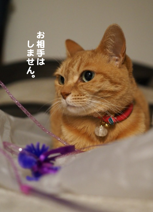 17日ブログ４