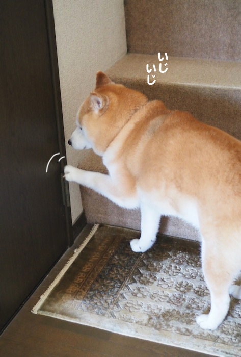 11日ブログ４