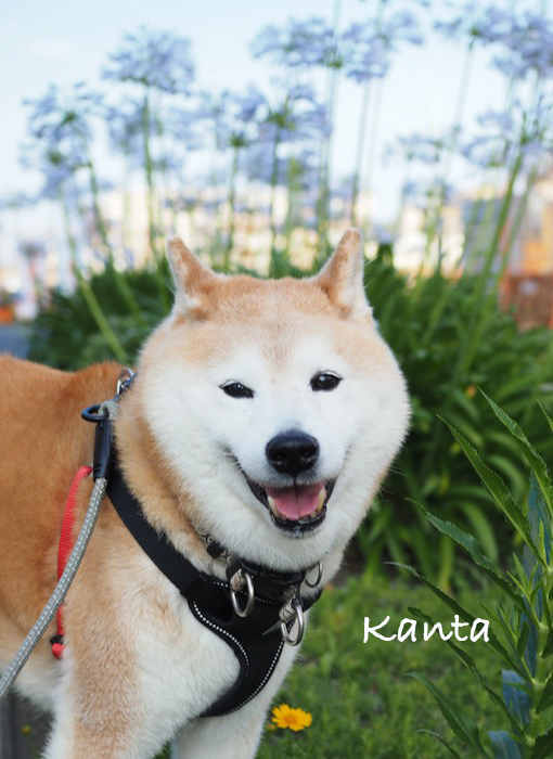 8日ブログ2