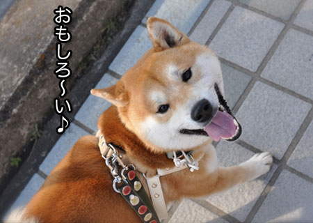 5日ブログ１４.jpg