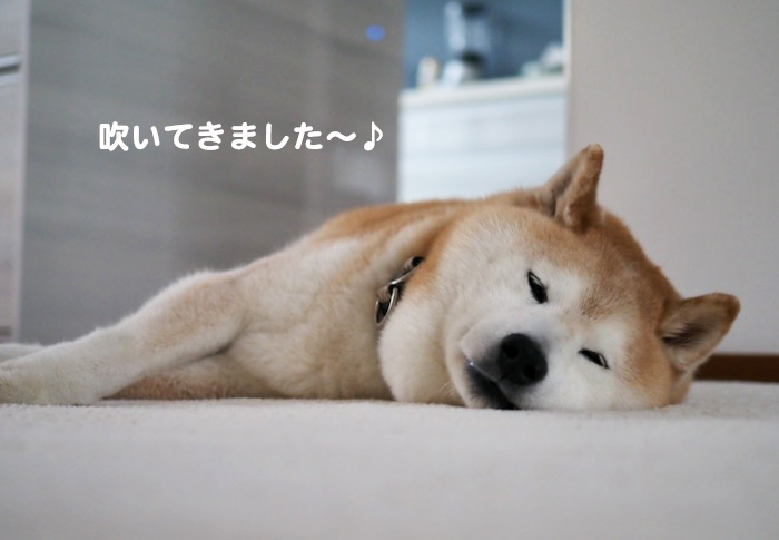 21日夕ブログ４
