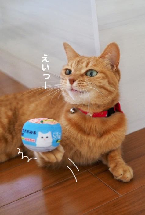 8日夕ブログ８