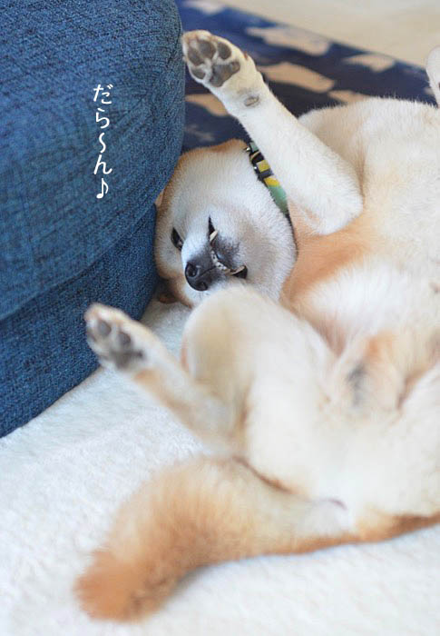 5日ブログ2