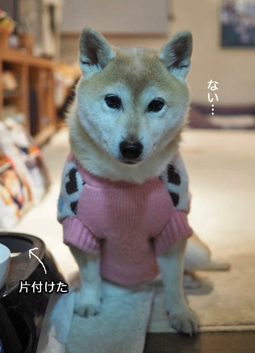 28日夜ブログ５