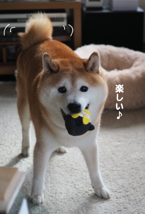 22日ブログ７