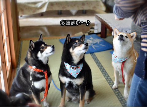 29日ブログ5.jpg