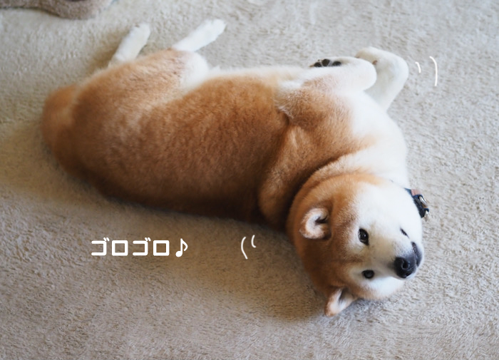 2日ブログ１