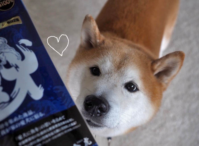 4日夜ブログ３