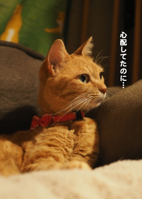 4日夕ブログ２