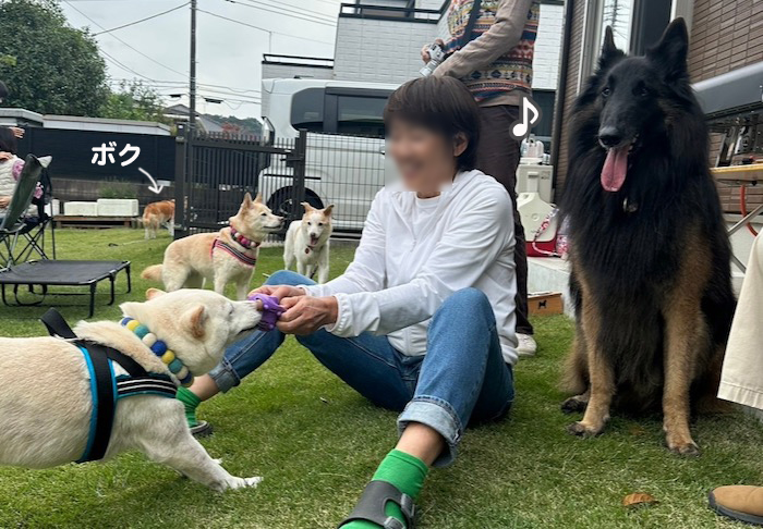 6日夕ブログ８