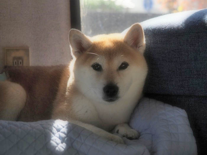 19日夜ブログ１
