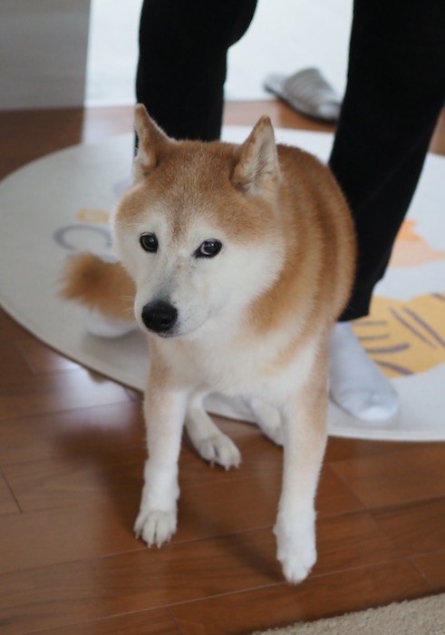 14日ブログ２