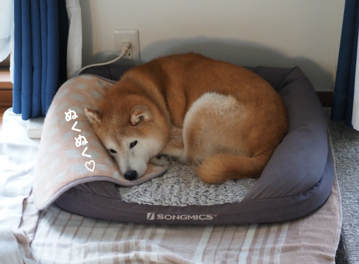 21日夕ブログ８