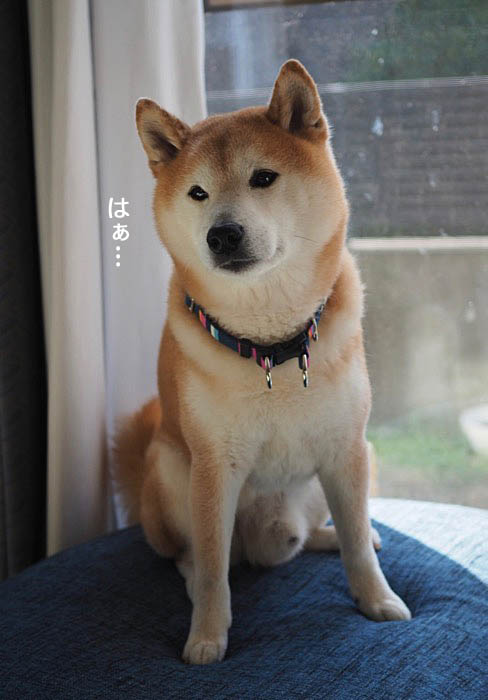 11日ブログ４