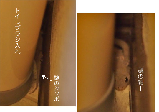 22日ブログ17.jpg