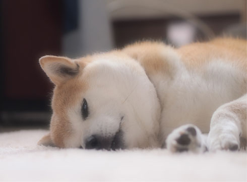 3日ブログ4.jpg
