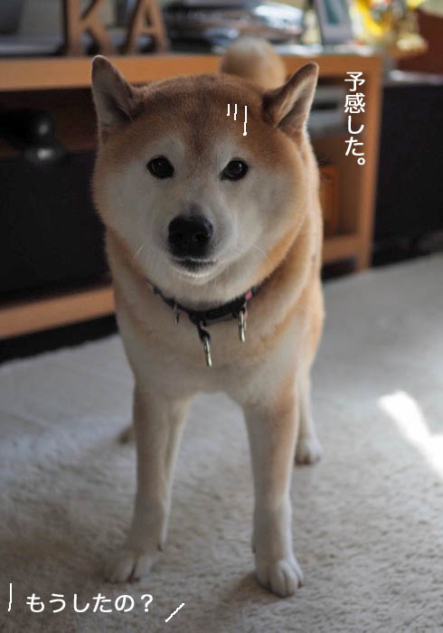30日ブログ３