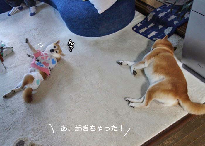 21日ブログ２