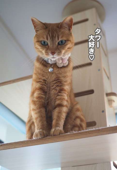 7日夕ブログ２