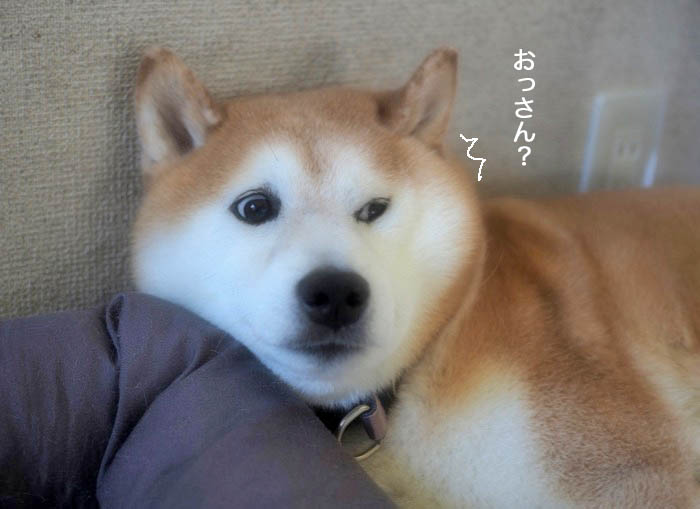 21日夜ブログ7