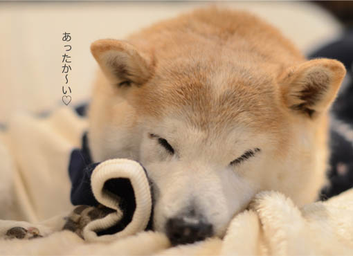 26日ブログ10.jpg