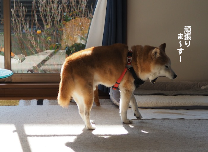 6日の夜ブログ６