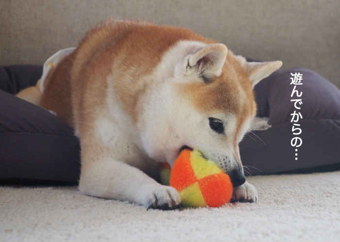 27日ブログ２