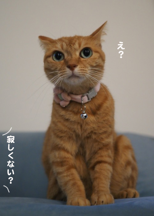2日夕ブログ６