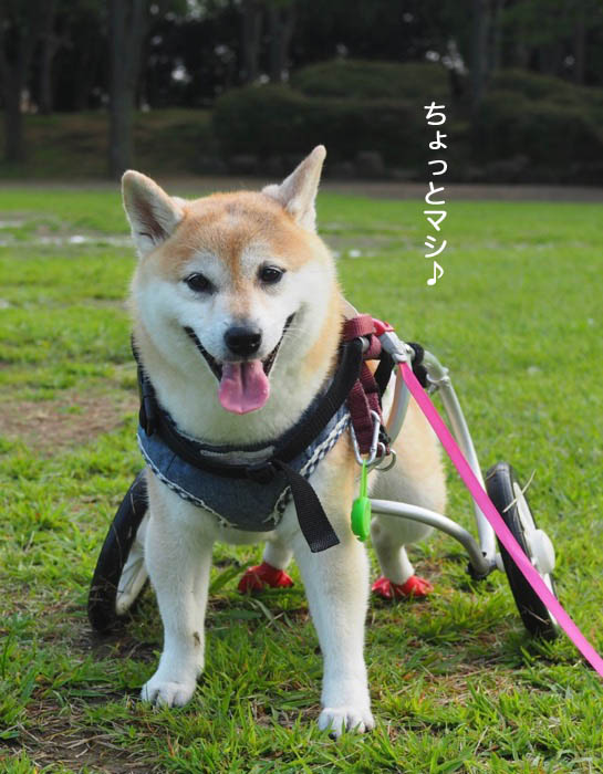 3日ブログ２