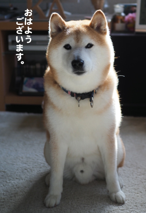 25日ブログ２