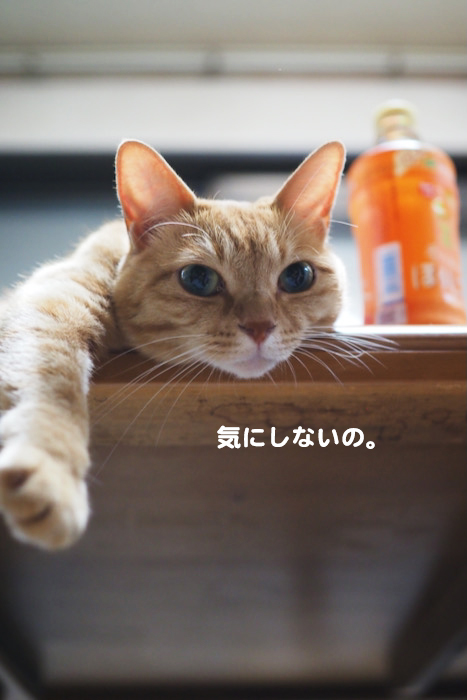 26日ブログ５