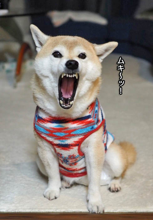 17日ブログ３
