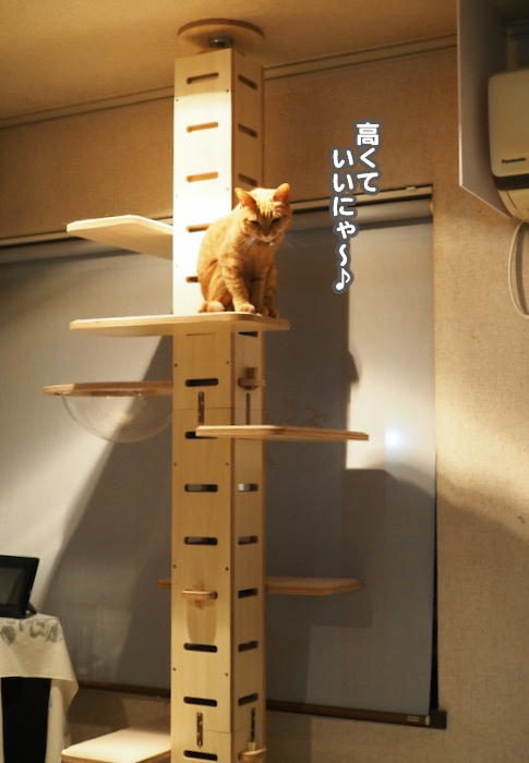 1日夕ブログ２