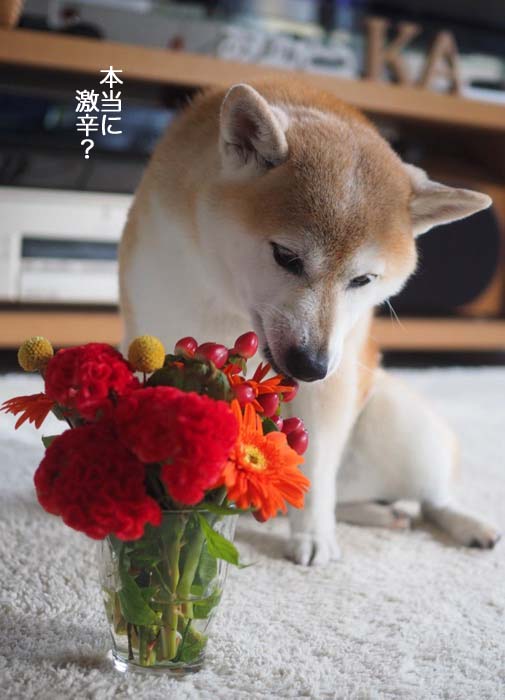 15日夜ブログ９
