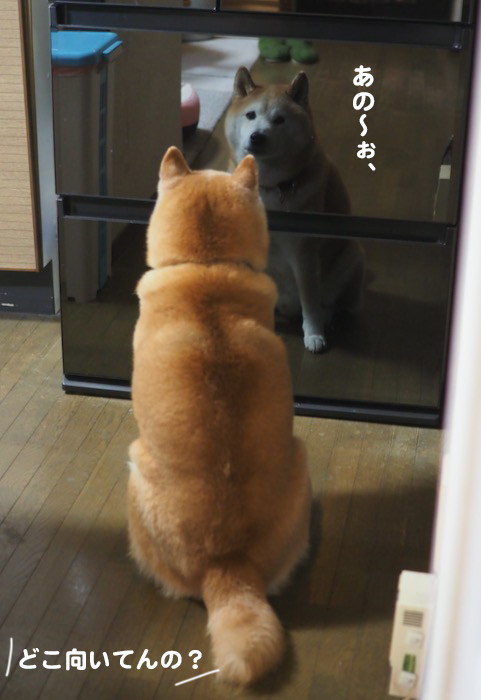 17日ブログ１