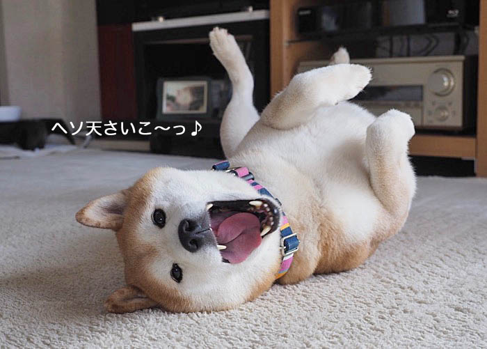 27日夜ブログ２