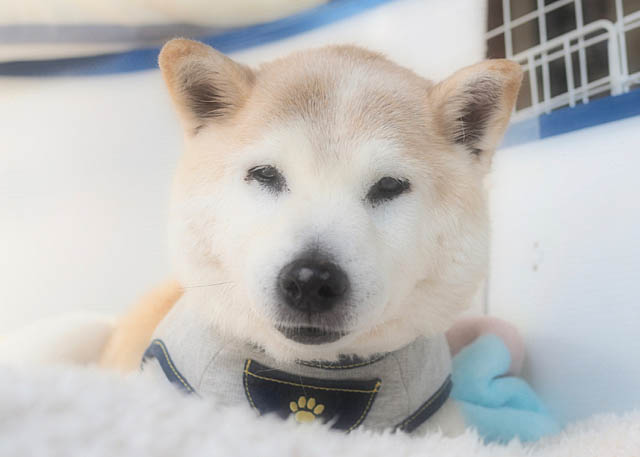 8日ブログ9