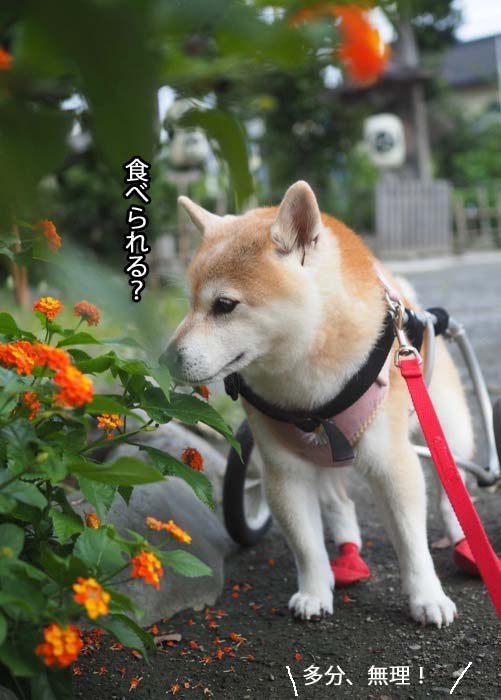 11日ブログ２