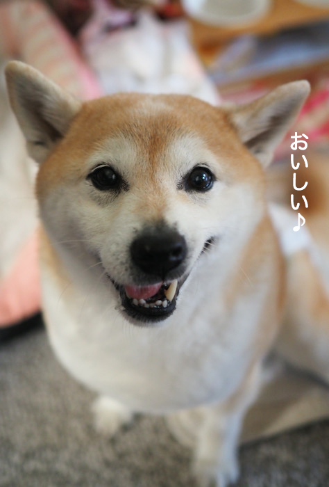 22日夜ブログ１２