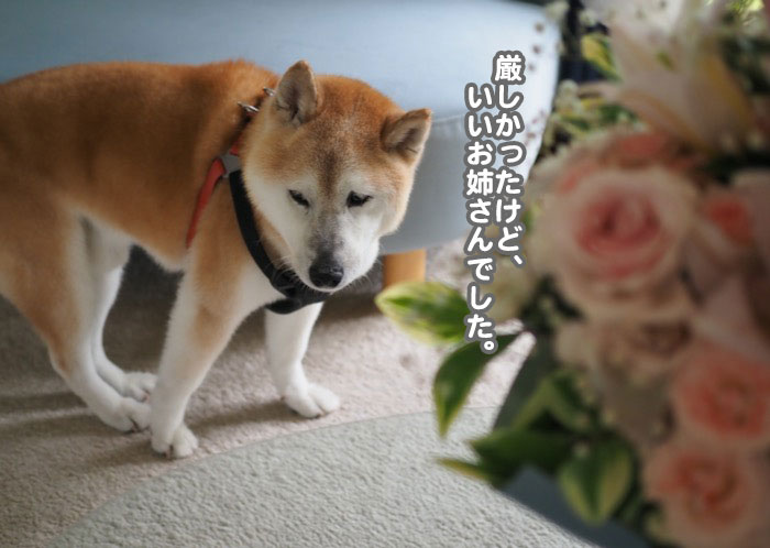 3日夕ブログ4