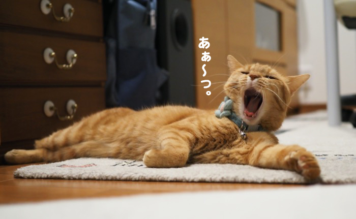 29日ブログ４