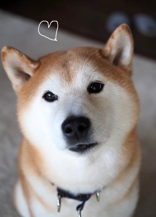 12日ブログ2