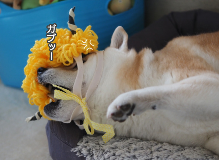 3日夜ブログ４