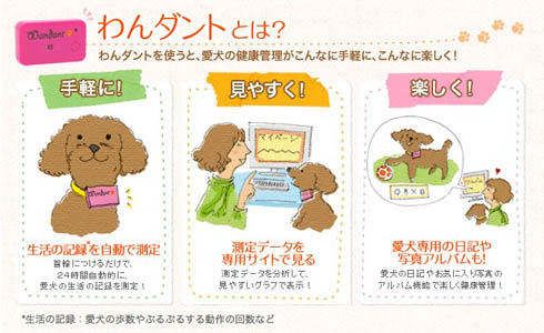 29日ブログ4.jpg