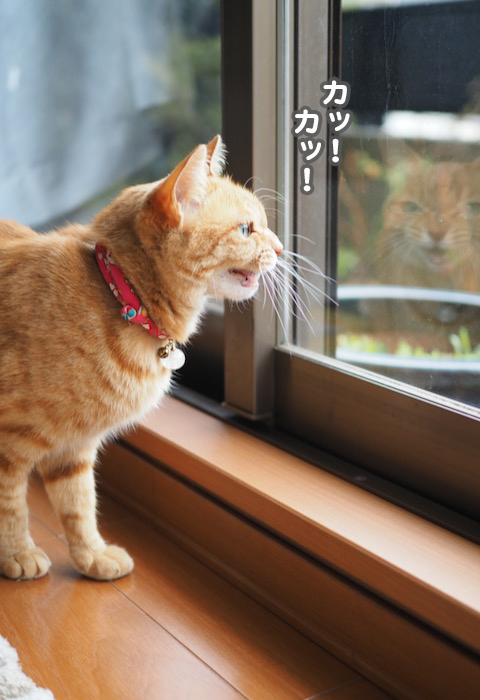 5日ブログ４