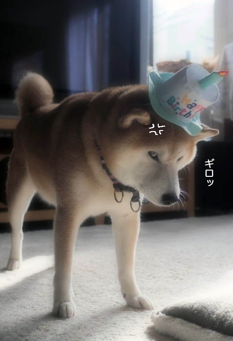 25日ブログ４